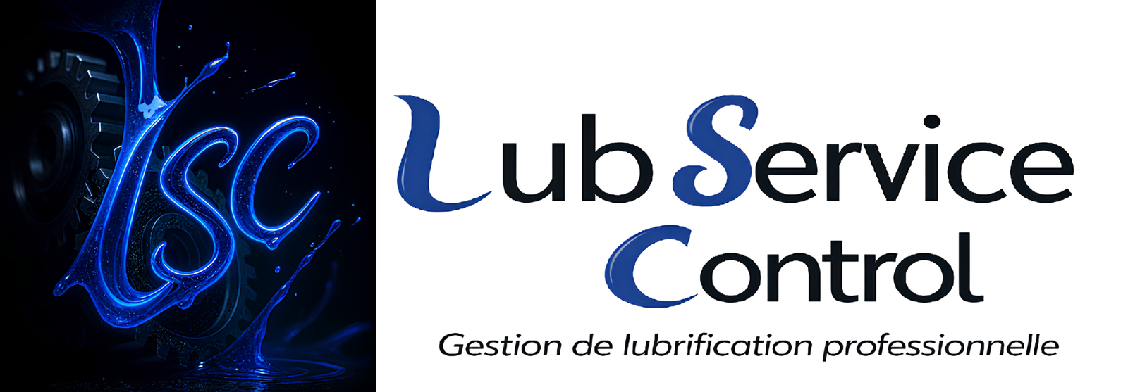 Logo Lub Service Control
